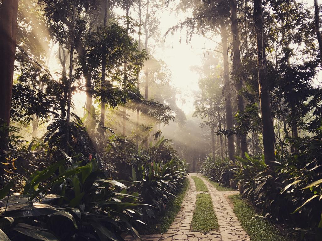 Pepper Trail Ξενοδοχείο Sultan Bathery Εξωτερικό φωτογραφία